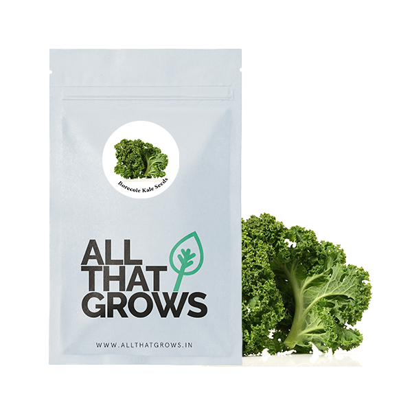 Borecole Kale Seeds