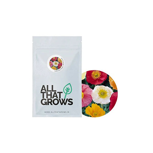 California Poppy Mixed Seeds-2