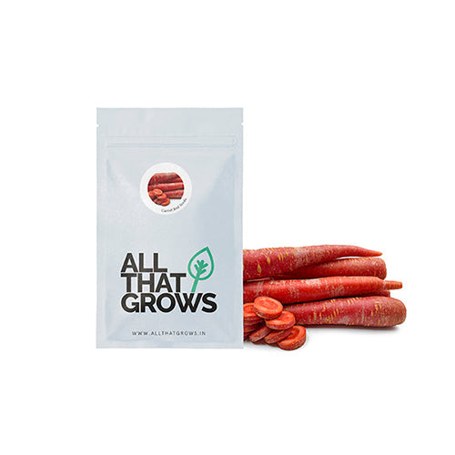 Carrot Red Seeds-2