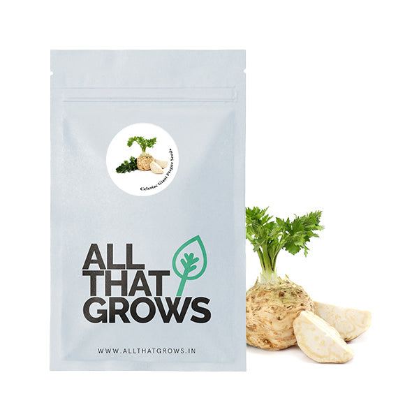 Celeriac Giant Prague Seeds