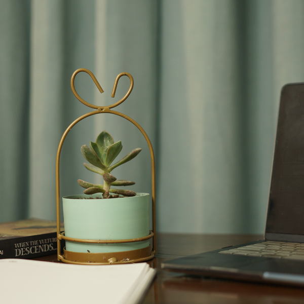 Celeste HangGlow Planter