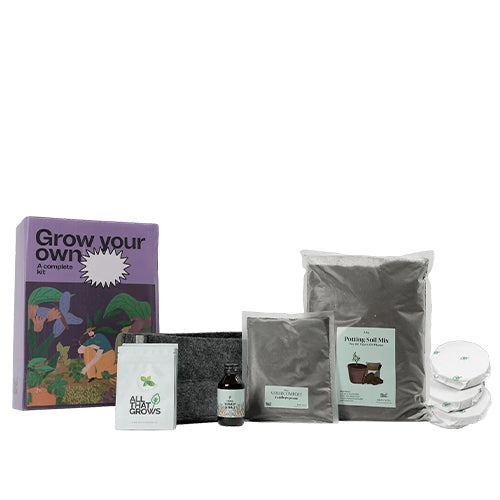 Chamomile Growing Kit-2