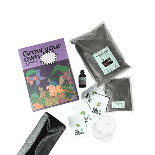Chamomile Growing Kit-3