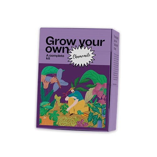Chamomile Growing Kit-1