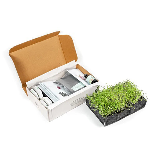 Complete Microgreen Growing Kit-3