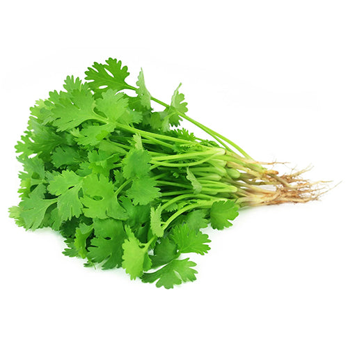 Coriander Seeds-1