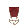 Crimson Goldvine Desk Planter
