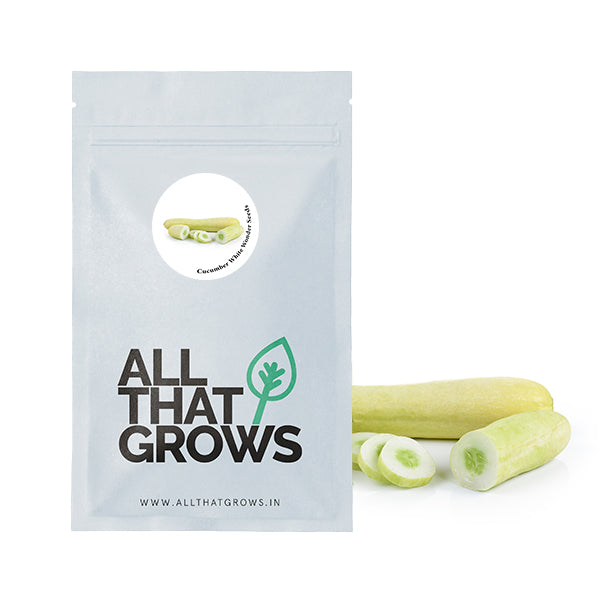 Cucumber White Wonder Seeds