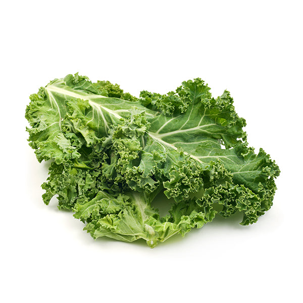 Curly Kale Seeds