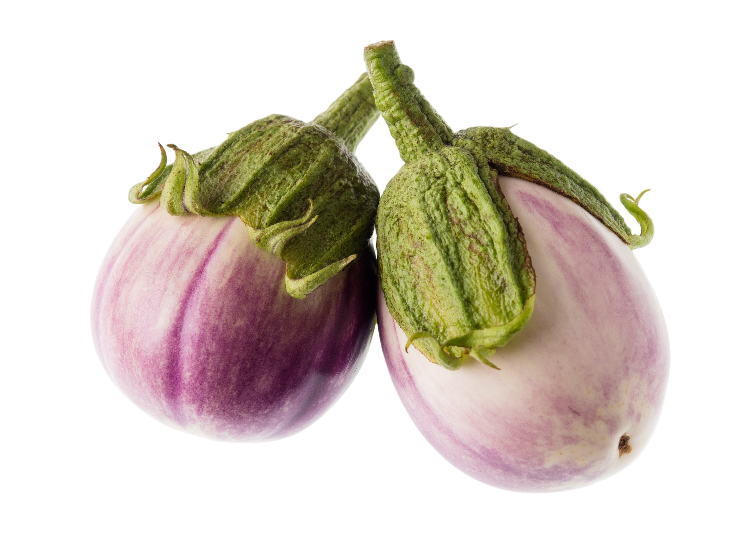 Eggplant Rosa Bianca Seeds | Italian Heirloom Variety | AllThatGrows