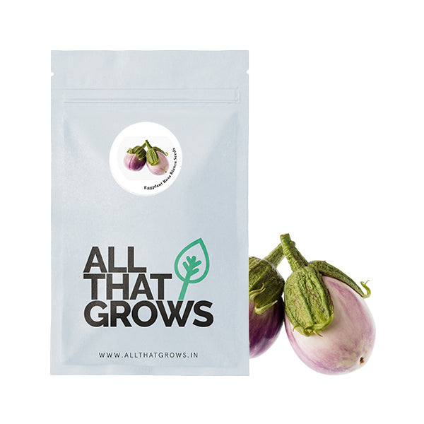 Eggplant Rosa Bianca Seeds
