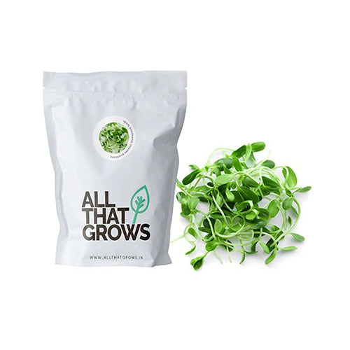 Fenugreek (Metha) Microgreen Seeds-2