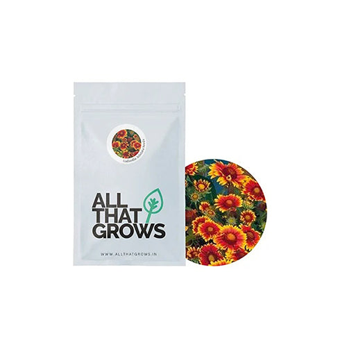 Gaillardia Aristata Seeds-2