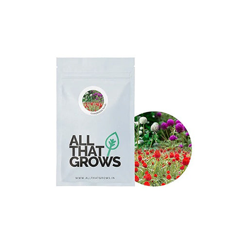 Gomphrena Choice Mixed Flower Seeds-2