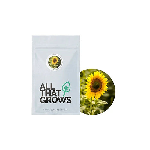 Helianthus Sunflower Sunset Flower Seeds-2