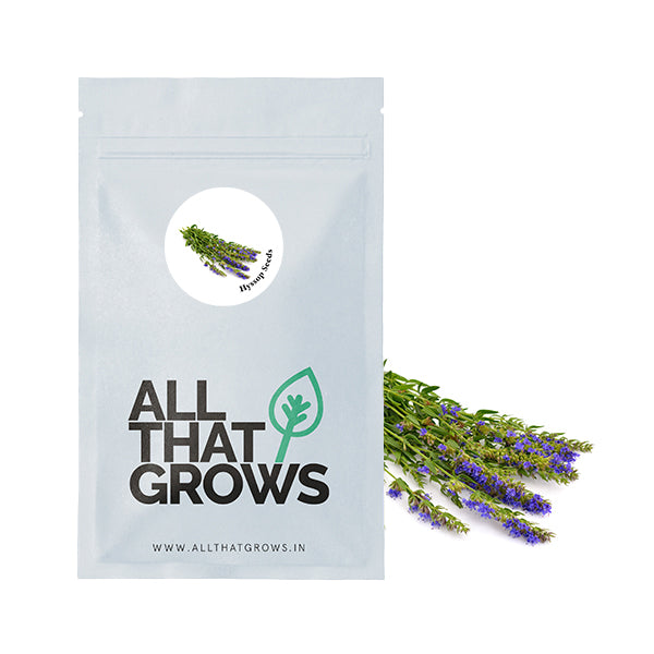 Hyssop Seeds