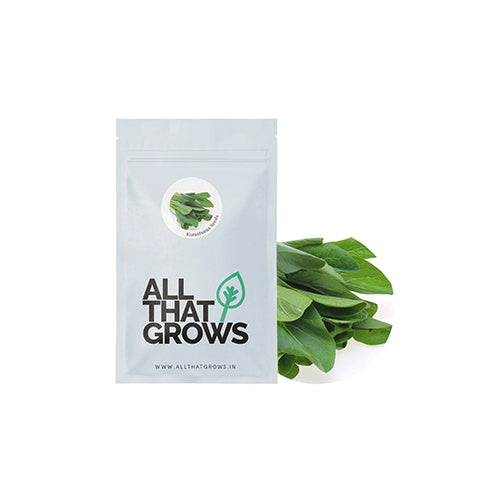 Komatsuna Green Seeds-2