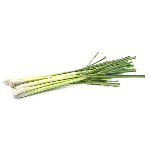 Lemongrass Seeds-1