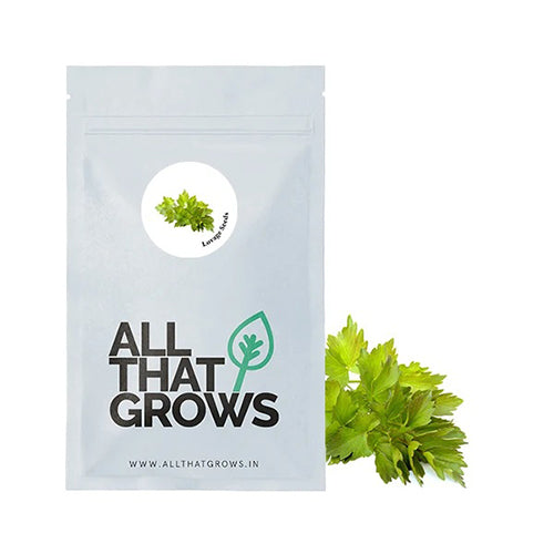 Lovage Seeds-2