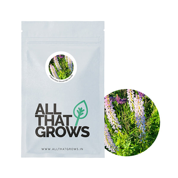 Lupin Pixie Dwarf Mix Seeds-2