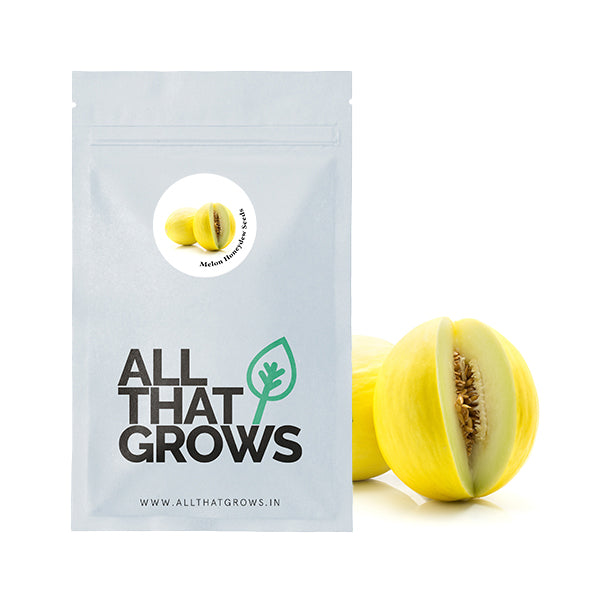 Melon Honeydew Seeds