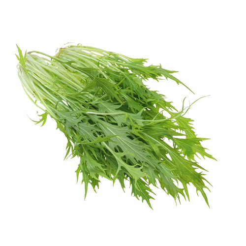 Mizuna Green Seeds-1