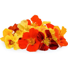 Nasturtium Alaska Mix Blossoms