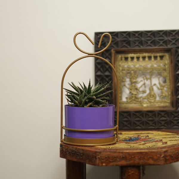 Ocean HangGlow Planter