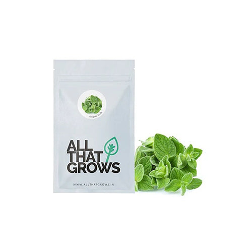 Oregano Seeds-2