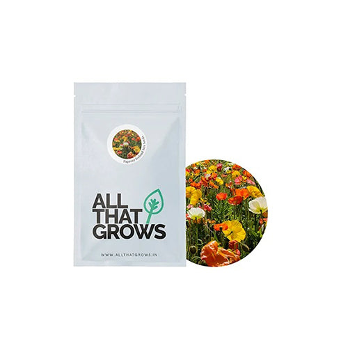 Papaver Iceland Mix Seeds-2