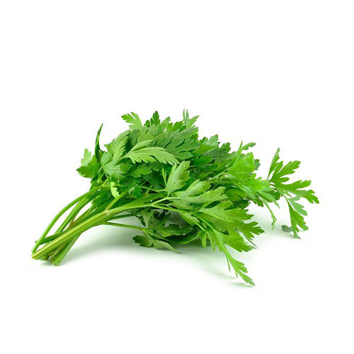 Parsley Seeds-1