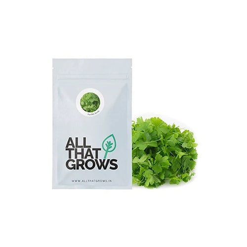 Parsley Seeds-2