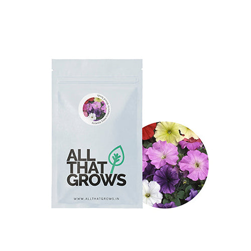 Petunia Nana Compacta Mixed Seeds-2