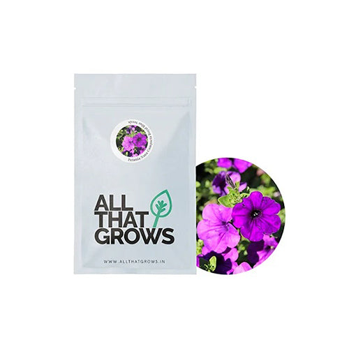 Petunia Nana Compacta Royal Blue Seeds-2