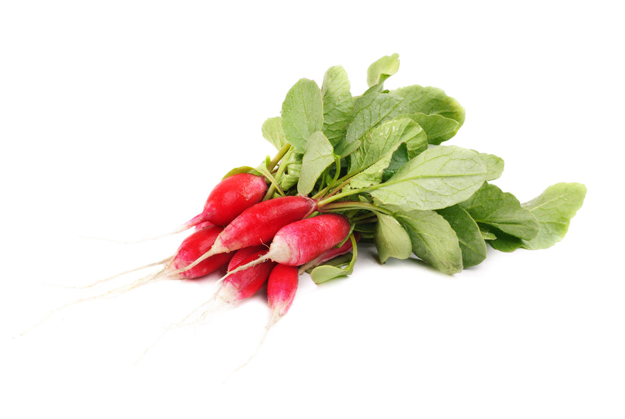 Radish Scarlet Half Long Seeds