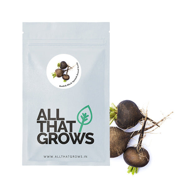 Radish Black Spanish Round Seeds