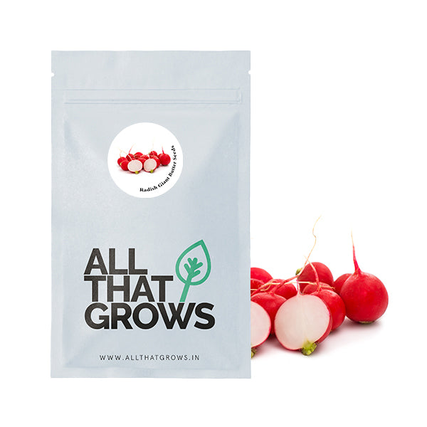 Radish Giant Butter Seeds