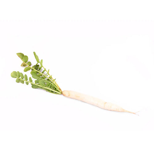 Radish Long Seeds