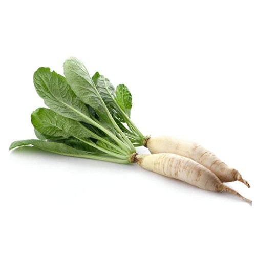 Radish Long Seeds