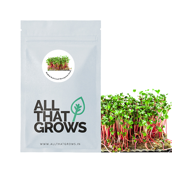 Radish Red Coral Microgreen Seeds