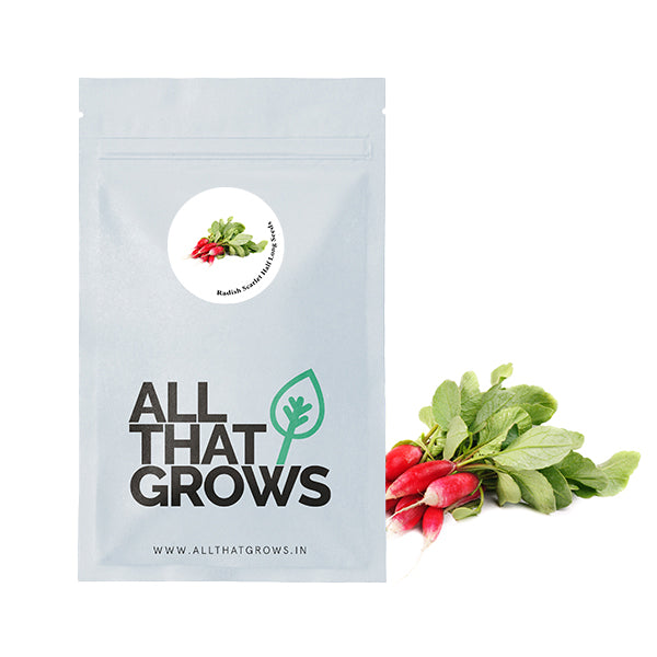 Radish Scarlet Half Long Seeds