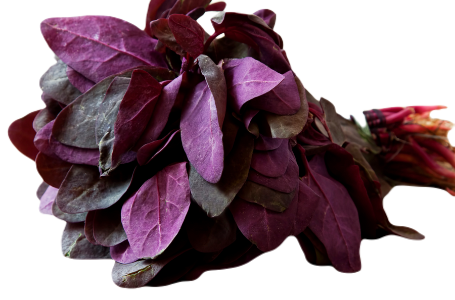 Red Orach Spinach Seeds