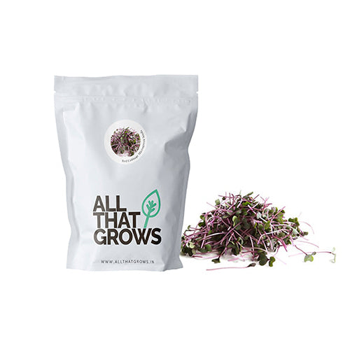 Red Cabbage Microgreen Seeds-2