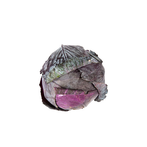 Red Cabbage Seeds-1