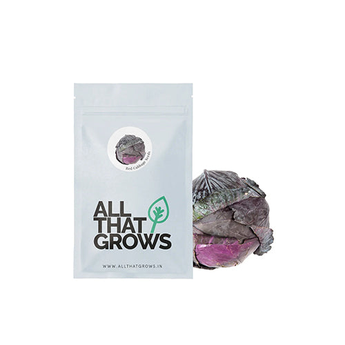 Red Cabbage Seeds-2