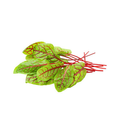 Red Veined Sorrel Seeds-1