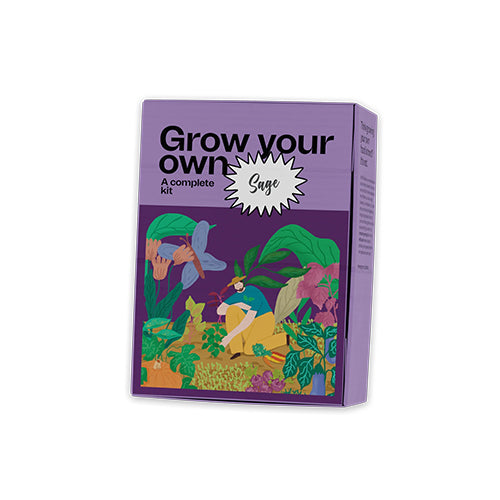 Sage Growing Kit-1