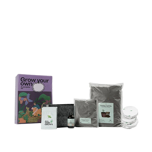 Sage Growing Kit-2