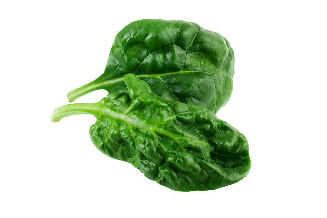 Spinach America Seeds