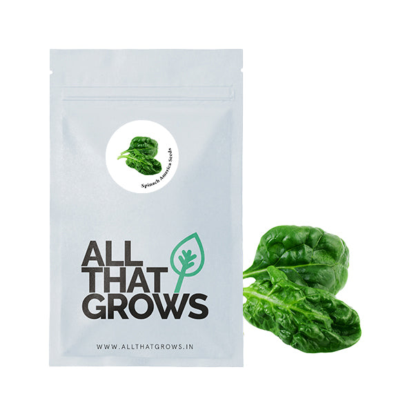 Spinach America Seeds